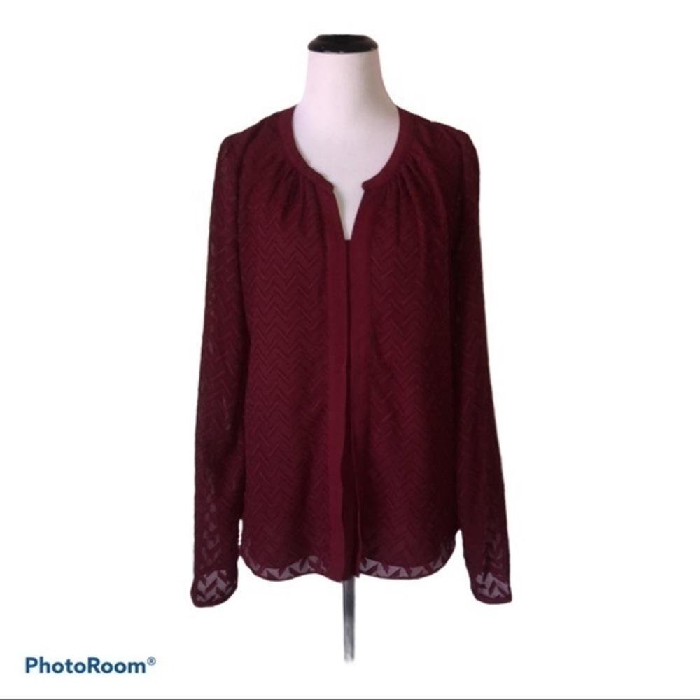 5/$30 🎈 Skies are blue women’s medium textured blouse
